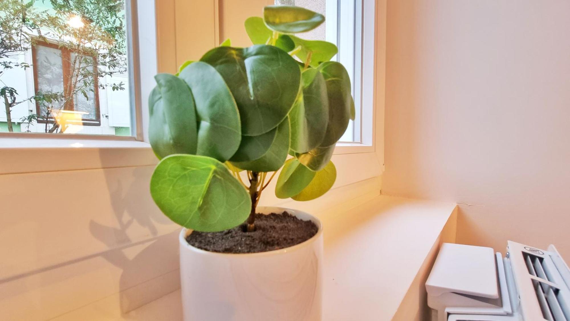 La Buhl Verte - Chic Et Moderne - Calme - Fibre - Relax Bnb エクステリア 写真